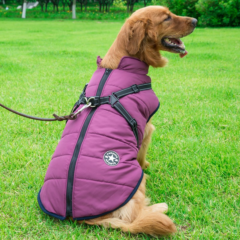 PawFleece™ Winter Hoodie Coat
