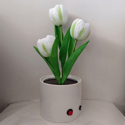 Vase veilleuse tulipe LED LumiBloom™