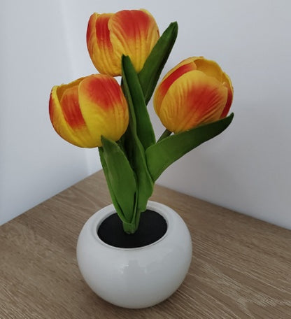Vase veilleuse tulipe LED LumiBloom™