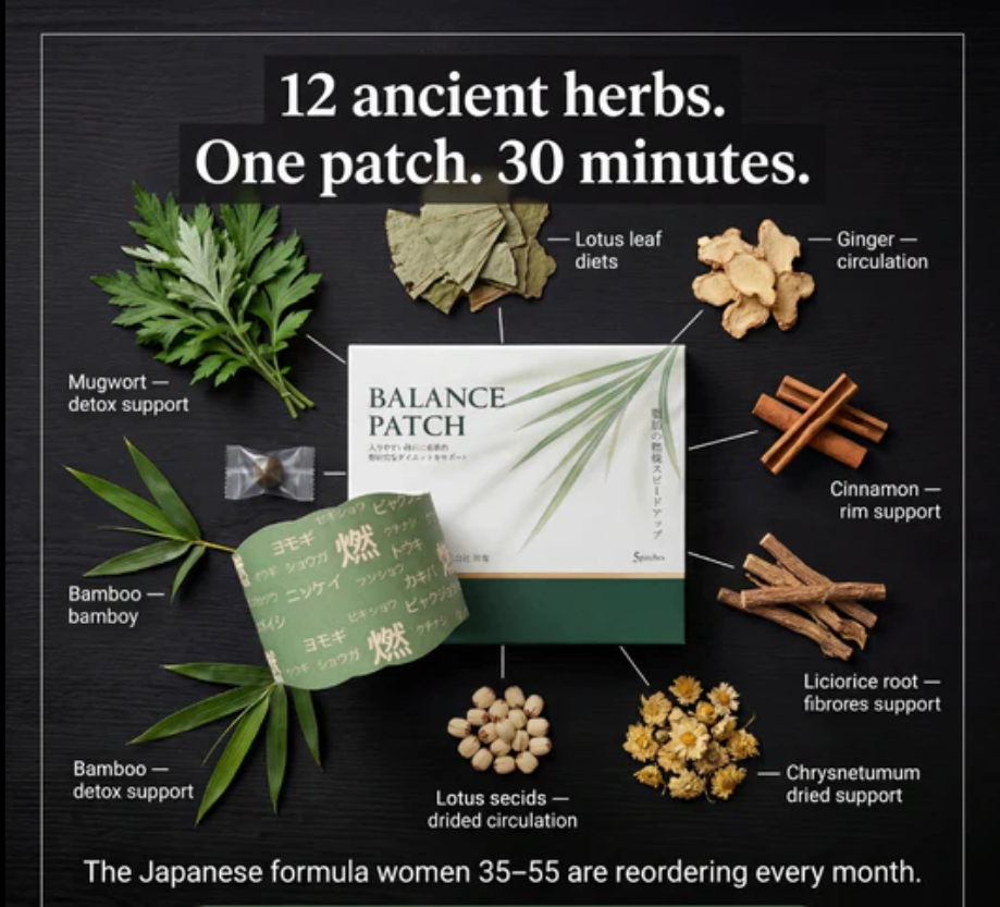 Patch ventre amincissant aux herbes ZenWaist (lot de 5)