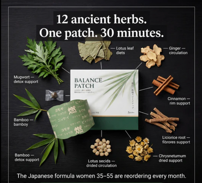 Patch ventre amincissant aux herbes ZenWaist (lot de 5)