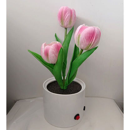 Vase veilleuse tulipe LED LumiBloom™